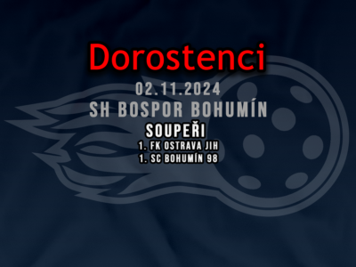 DOROST 2.11.2024
